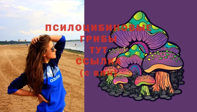 Псилоцибиновые грибы Magic Shrooms  Верея 